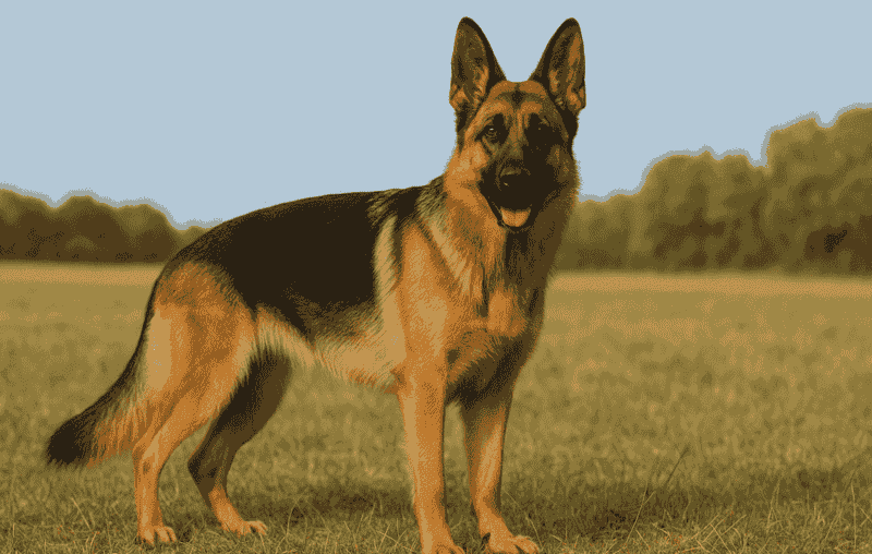 GSD