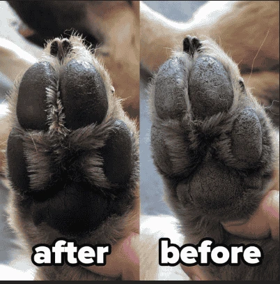 gsd_paw_wax_befor_after